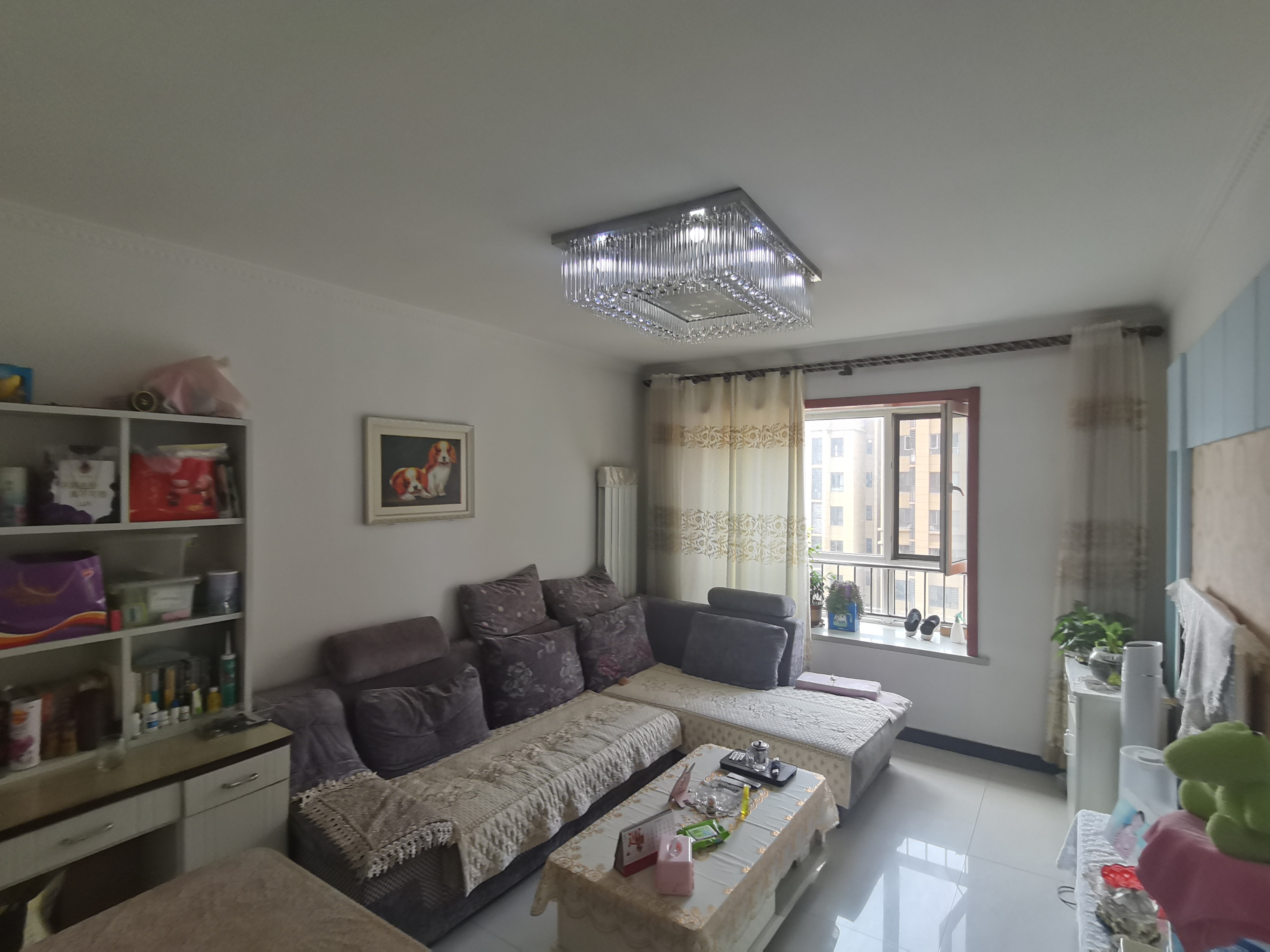 2室1厅1卫卫国里阳光家园（和泓阳光）